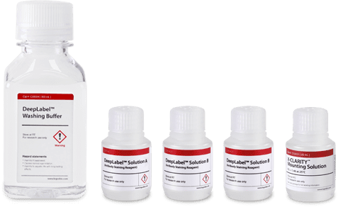 LogosBiosystmes-DeepLabel-Antibody-Labeling-Kit-for-Cleared-Tissues_02